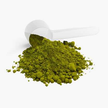 Motiv-8 Ceremonial Matcha Powder