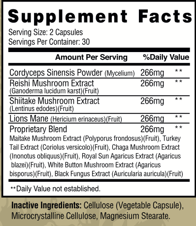 Motiv-8 | 10x Mushroom Formula